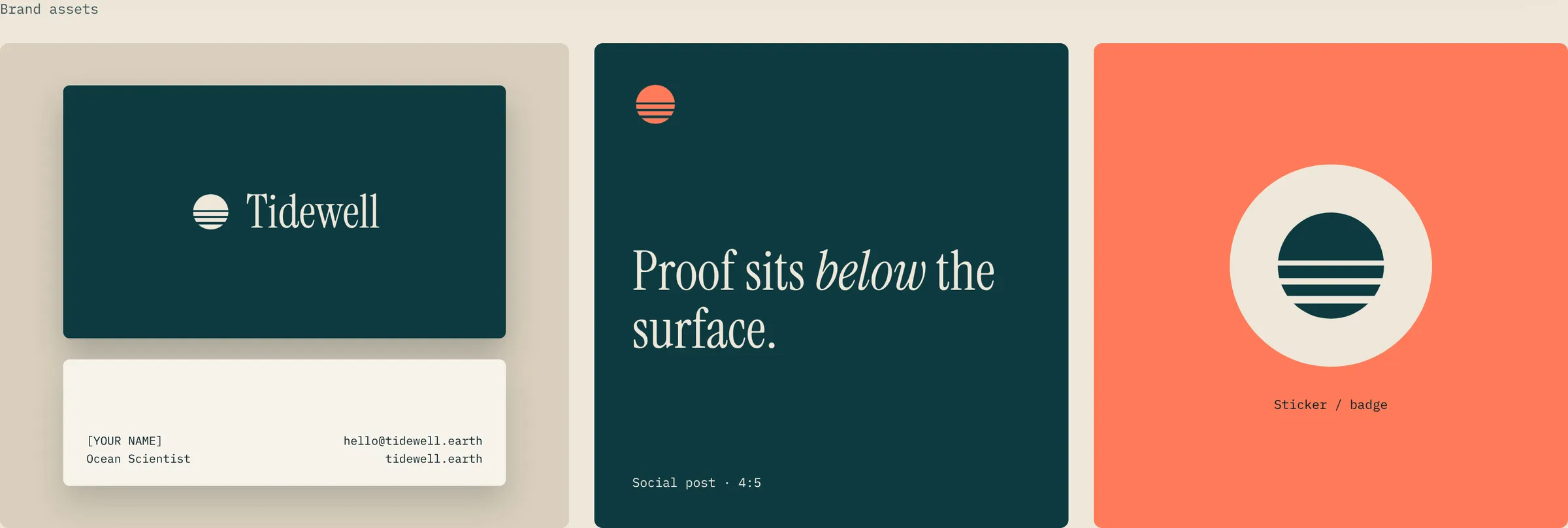 Tidewell brand assets