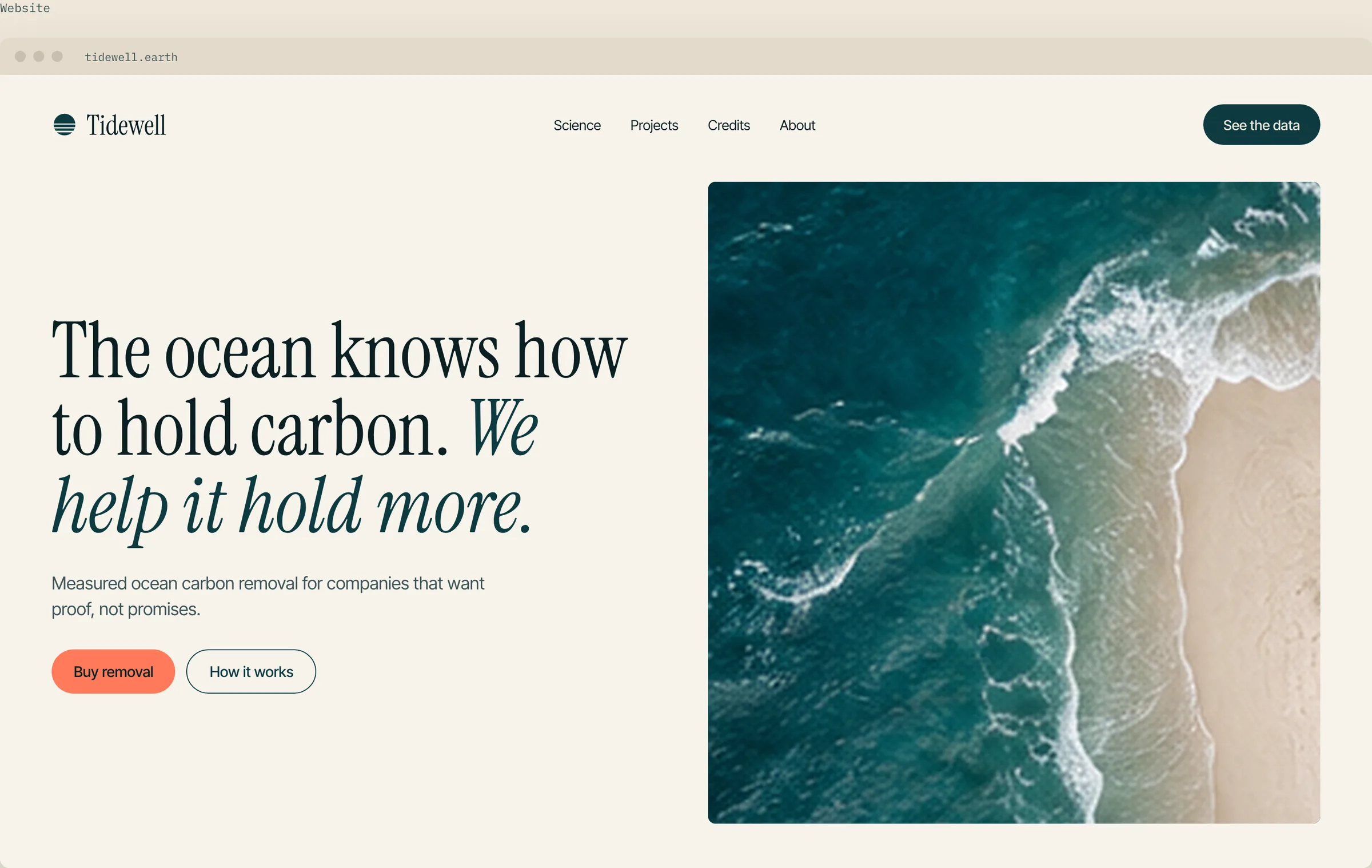 Tidewell website