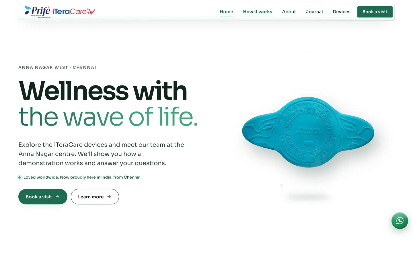 iTeraCare website, view 1